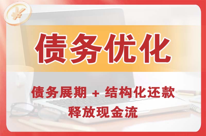 海口债务优化